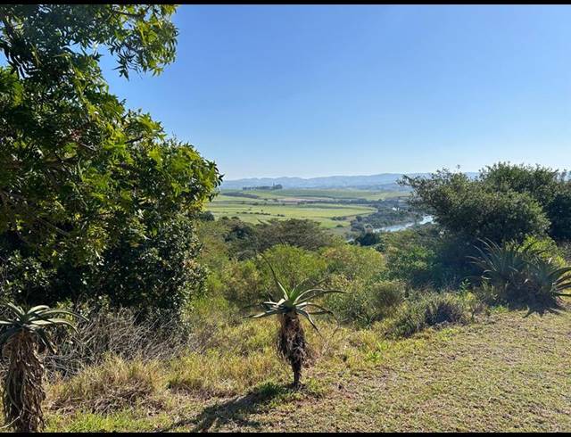 LAND FOR SALE IN ZINI RIVER ESTATE